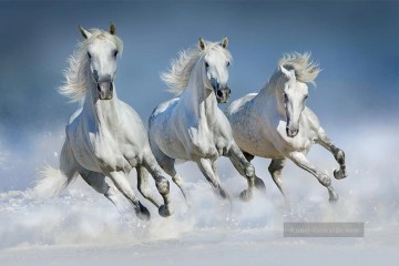 Von Fotos Realistisch Werke - Laufen graue Pferde realistisch von Foto